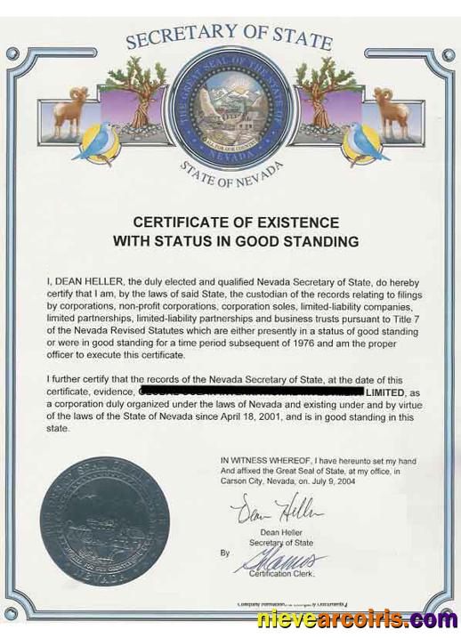 USA Nevada certificate of good standing